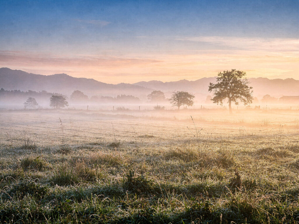 Awake to the Fight Within and Around Us devotional landscape